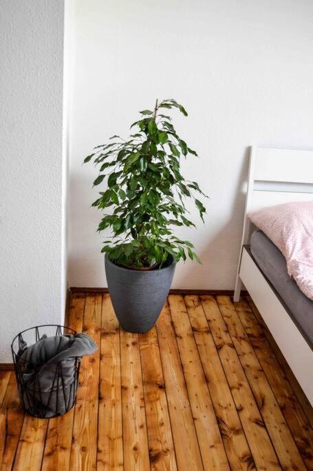 Schoene Dachgeschosswohnung Nahe Koeln Luaran gambar